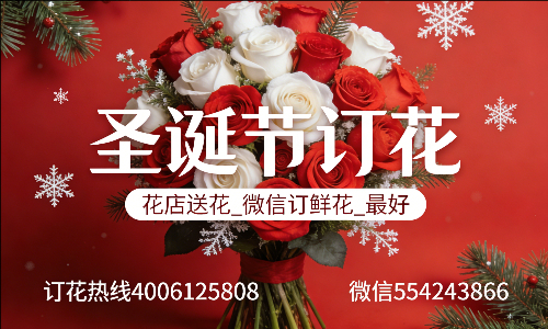 南京花店送花_微信订鲜花_圣诞节订花_最好? 南京花店